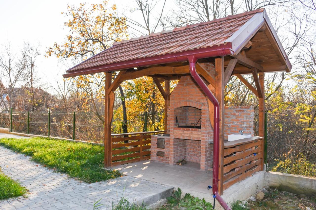 Tomis House Curtea De Arges Exterior photo